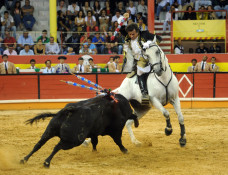 Maestro Rui Salvador, 